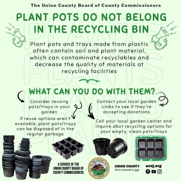 plant-pot-psa-768x768
