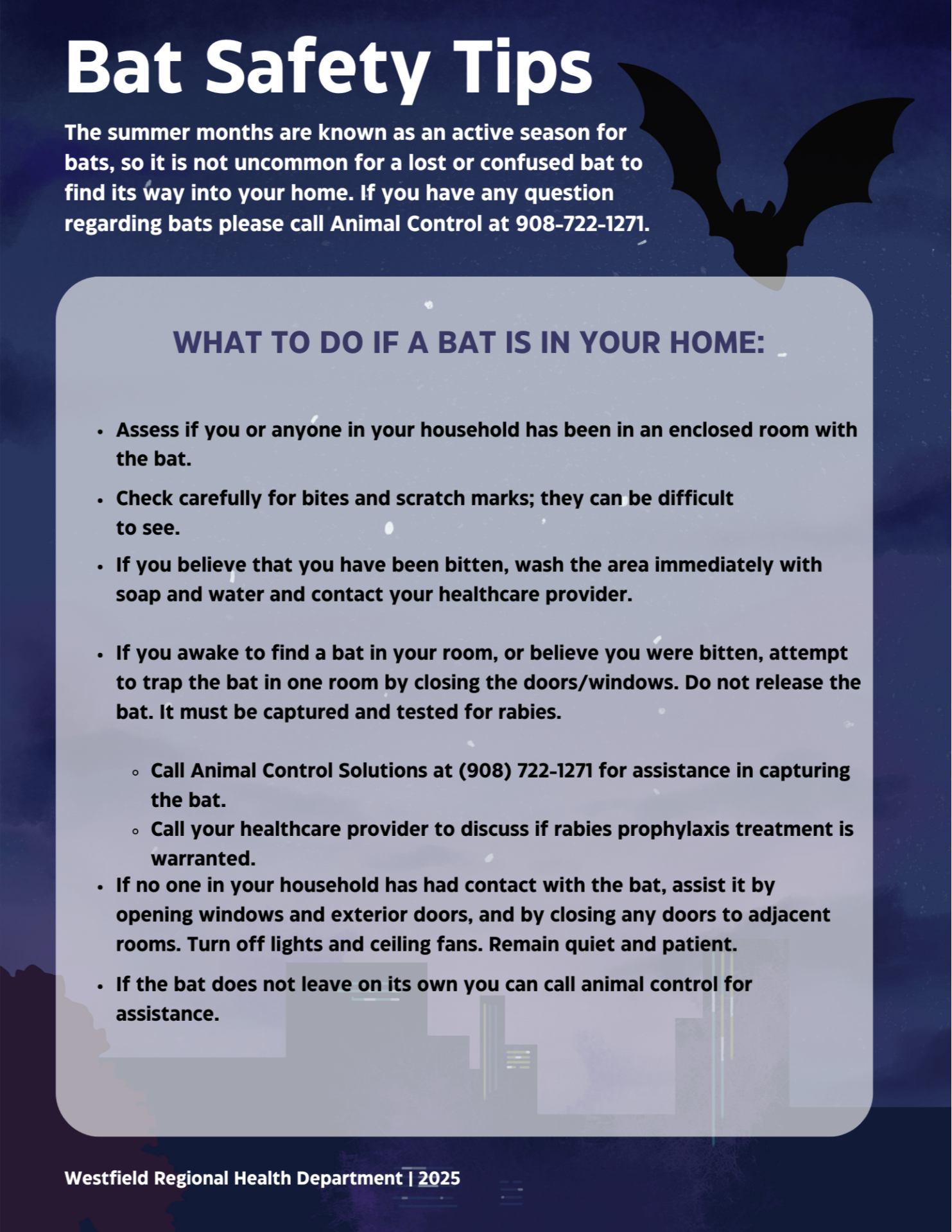 Bat Safety Tips