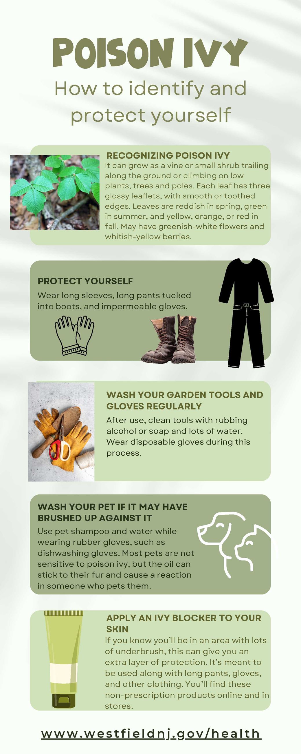 poster - how to identify and protect yourself from poison ivy 