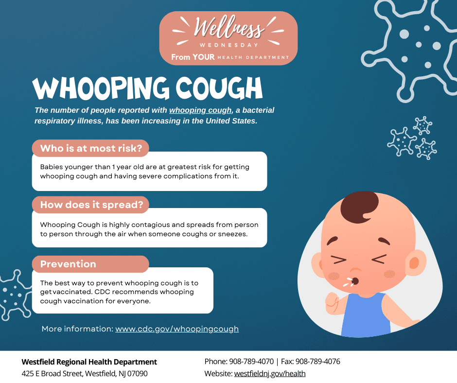 Whooping Cough Information flyer