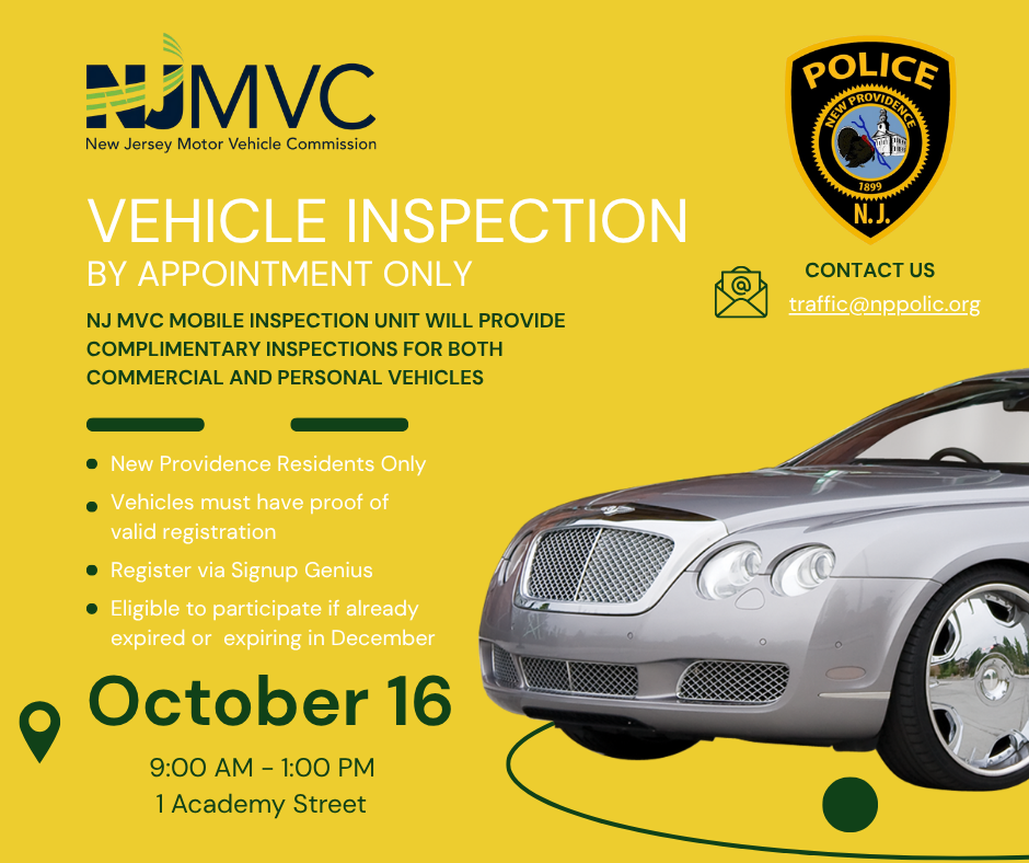 Vehicle Inspection (1)
