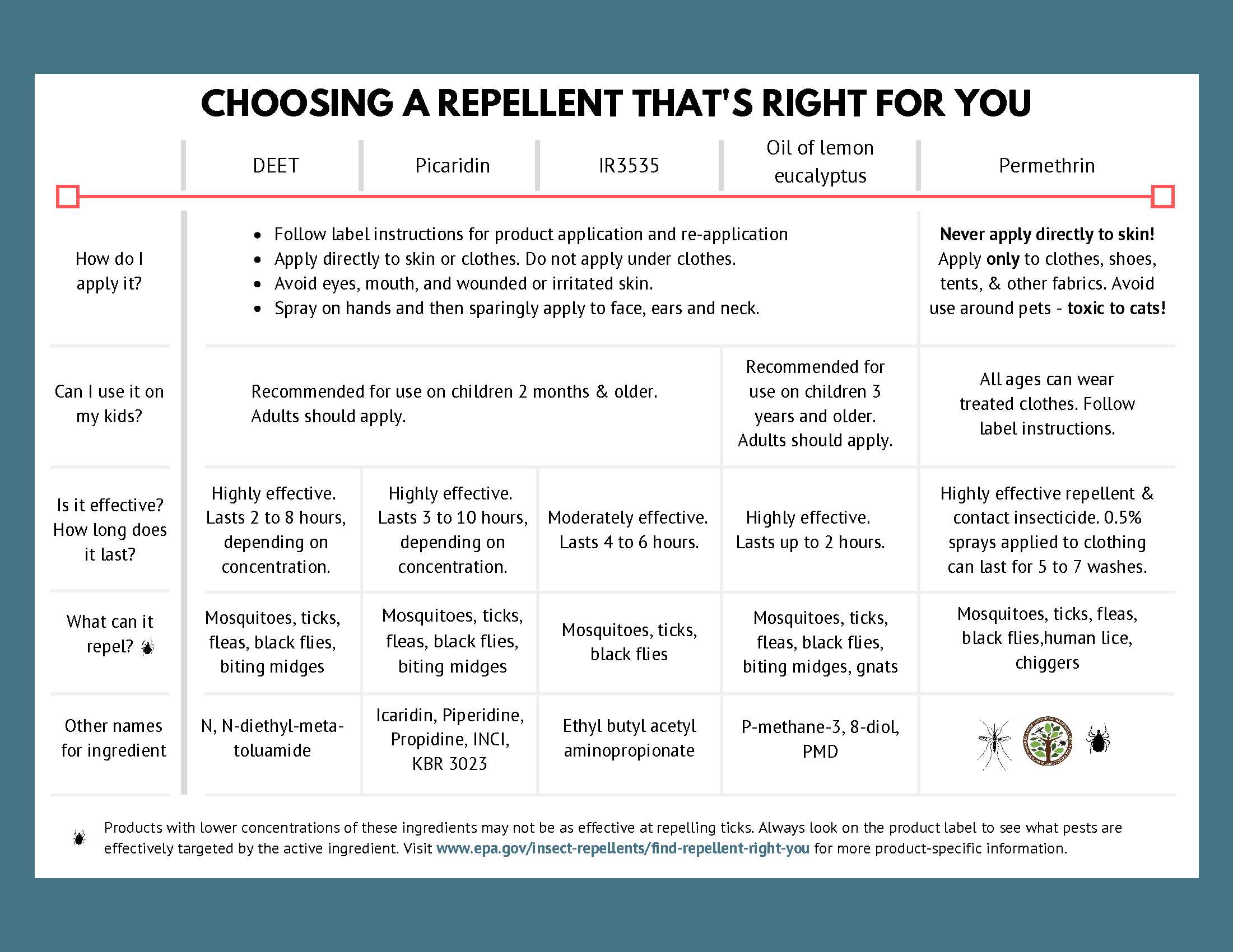 Insect Repellent Myths_Types (003)_2